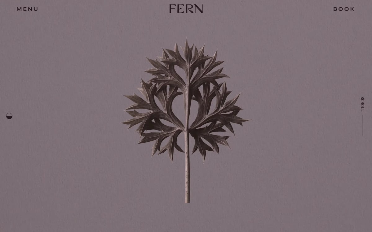 A screenshot from the Fern website.