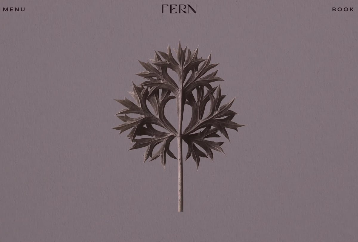 Fern